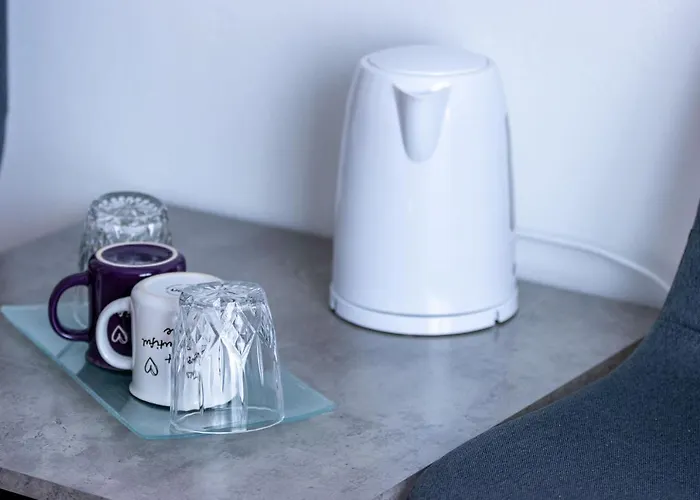 Luxury Bure Gasthuis